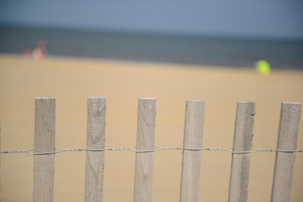 Beach House Dewey Dewey Beach Exterior foto